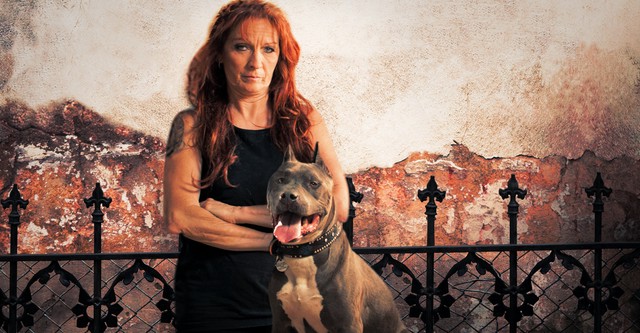 Pitbulls et prisonniers