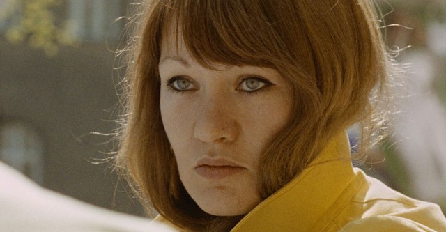 The Cat Has Nine Lives