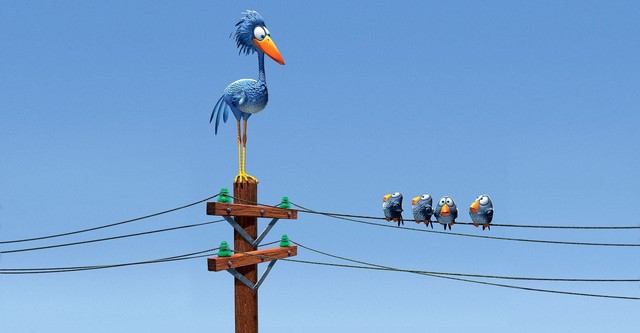 Drôles d'oiseaux sur une ligne à haute tension