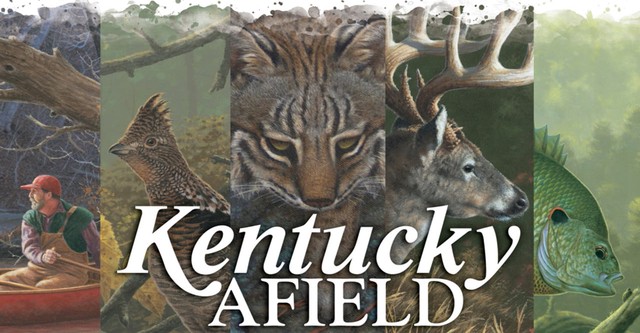 Kentucky Afield