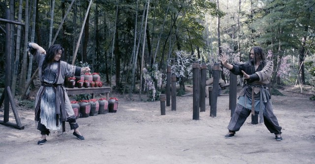 A részeges Kungfu mester