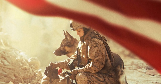 Sergeant Rex - Nicht ohne meinen Hund