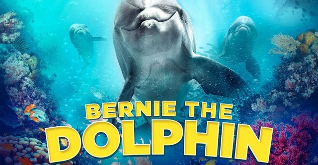 Bernie the Dolphin 2