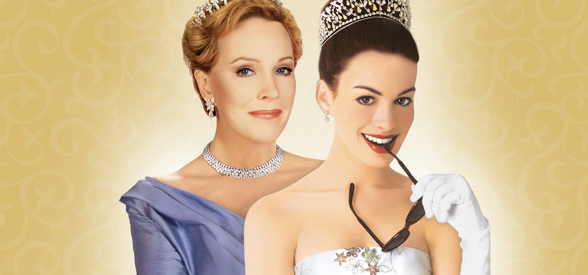 Regarder Princesse Malgre Elle En Streaming Complet