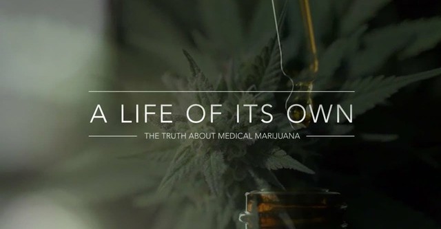 A Life of Its Own: The Truth About Medical Marijuana