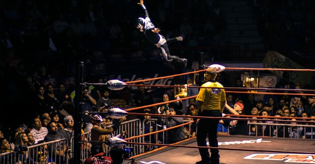 Watch the wrestlers clearance viceland