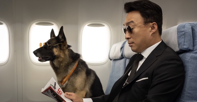 Mr. Zoo: Der vermisste VIP