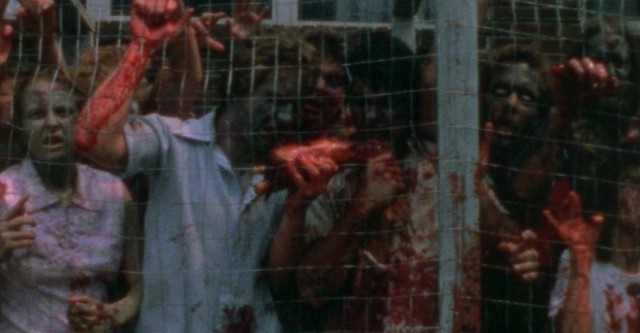 The Dead Next Door