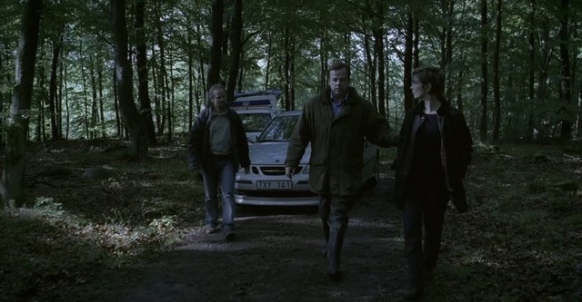 Wallander: Before the Frost