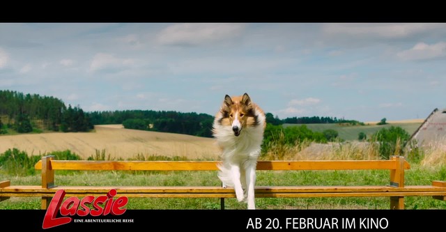 Lassie de Volta a Casa