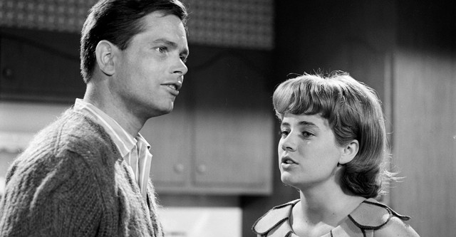The Patty Duke Show