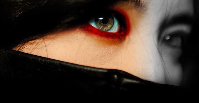Lady Vengeance