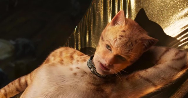 Кошки