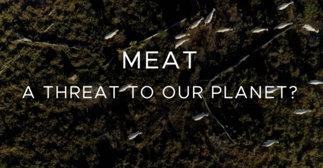 Meat: A Threat to Our Planet