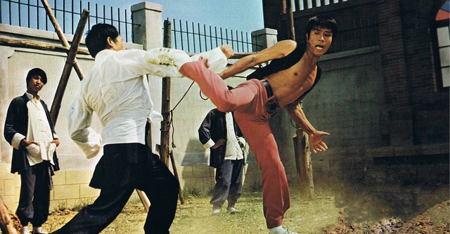 The Fists of Vengeance