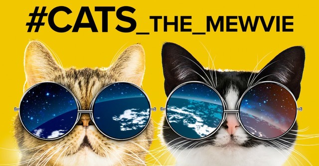 Cats the mewvie hotsell