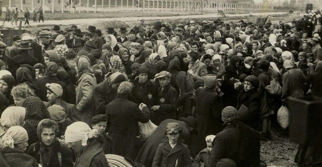 Un jour à Auschwitz