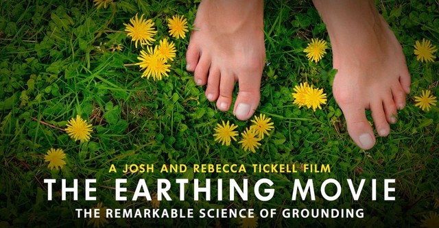 The Earthing Movie