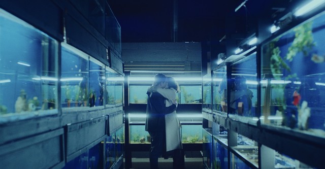 Little Fish - Love Is Unforgettable