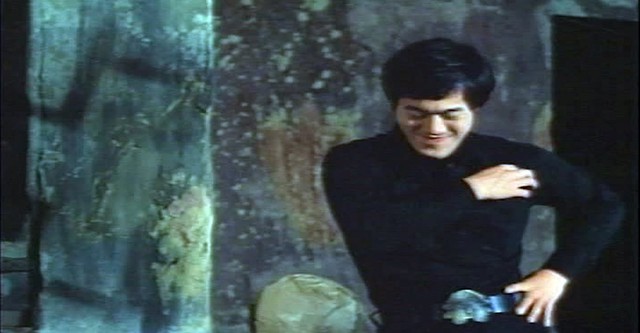 Fists of Bruce Lee
