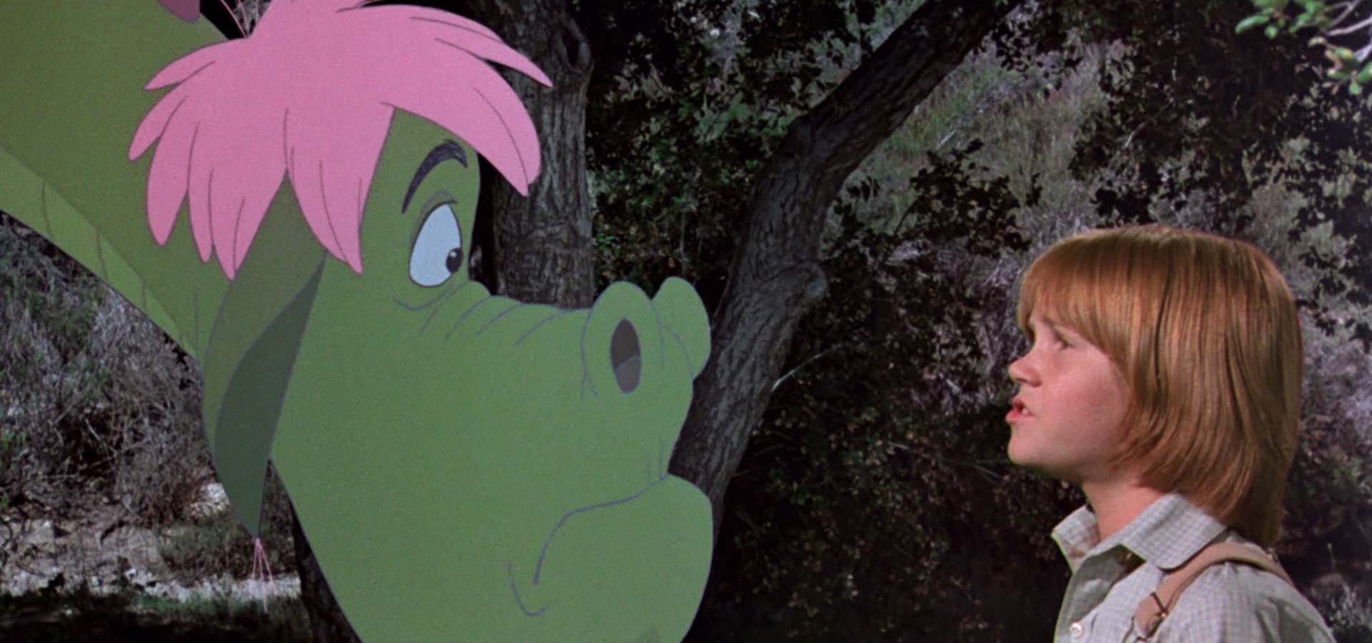 Peter Et Elliott Le Dragon Je T Aime Beaucoup Regarder Peter et Elliott le dragon en streaming