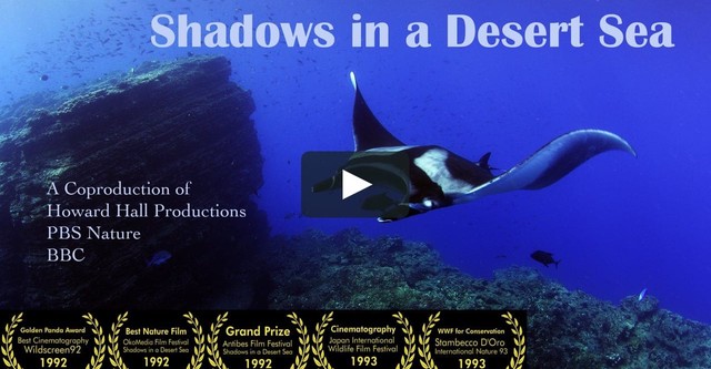 Shadows in a Desert Sea