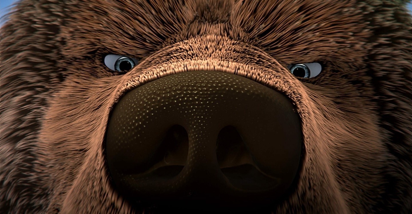 Der Große Bär Stream