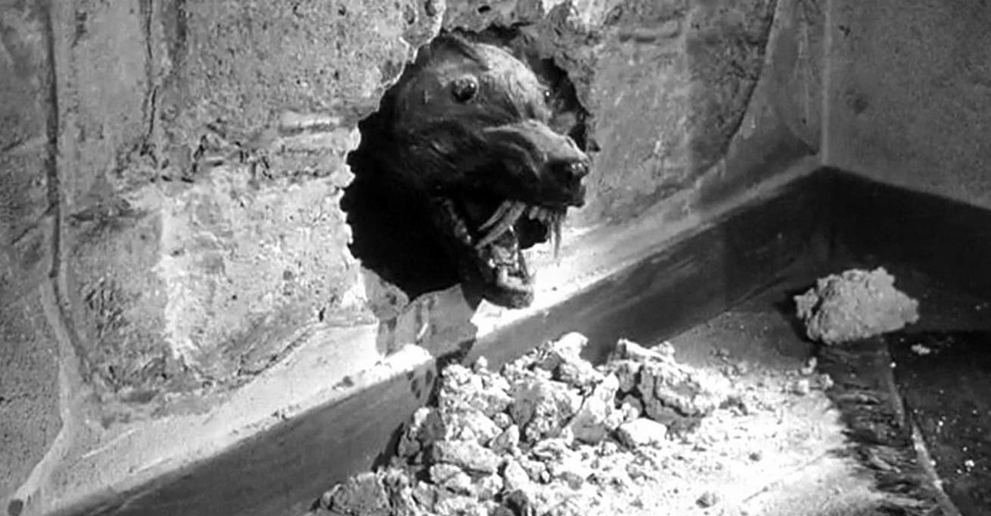 The Killer Shrews Streaming Where To Watch Online