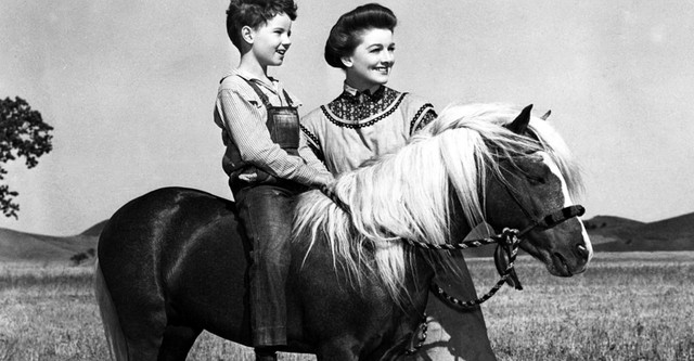 The Red Pony