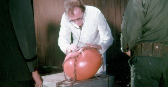 El ataque de los tomates asesinos