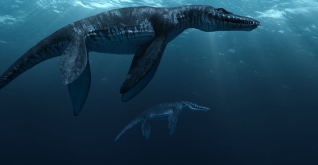 Sea Rex 3D: Journey to a Prehistoric World