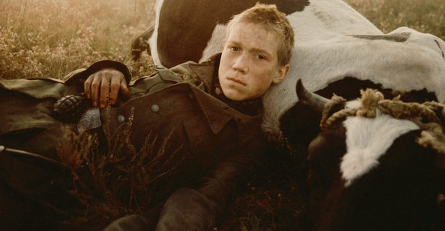 I 20 migliori film di guerra e come vederli in streaming
