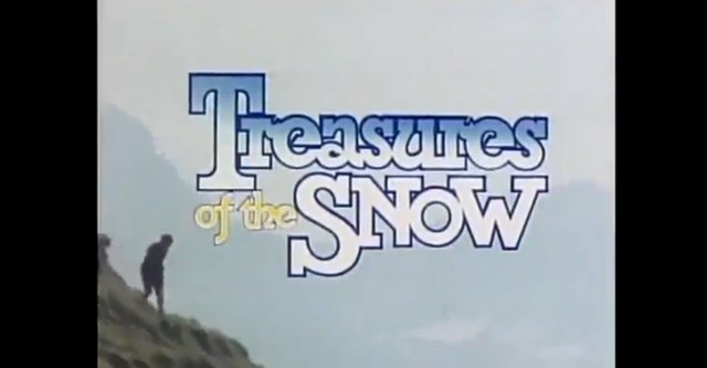 Treasures of the Snow