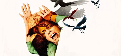 Da Pysco a Gli uccelli: i 15 migliori film di Alfred Hitchcock in streaming e dove vederli, noleggiarli e acquistarli