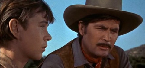 Where to Watch the Best Dog Movies Ever Made: From 'Beethoven' to 'Homeward Bound'