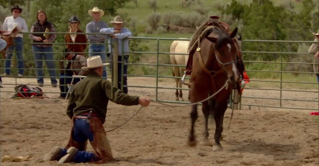 Buck. El hombre que susurró a los caballos