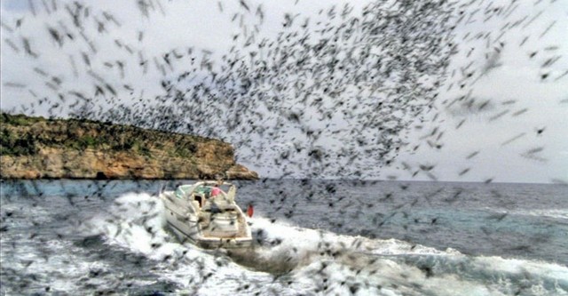 L'Île des abeilles tueuses