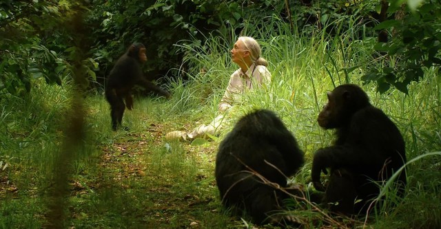 Jane's Journey - Die Lebensreise der Jane Goodall