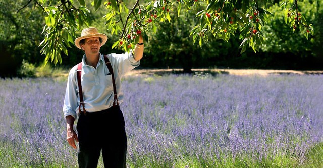 Monty Don: Die schönsten Gärten Frankreichs