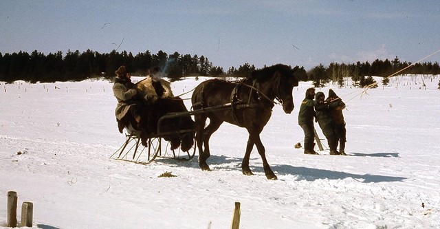 Kamouraska