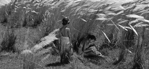 20 Best Satyajit Ray Movies and Where to Watch Them
