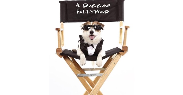 A Doggone Hollywood