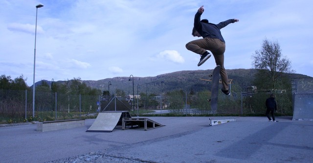 Hardflip - Sprung ins Leben