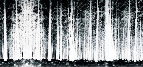 Blair Witch Filmleri Hangi Sırayla İzlenmeli?