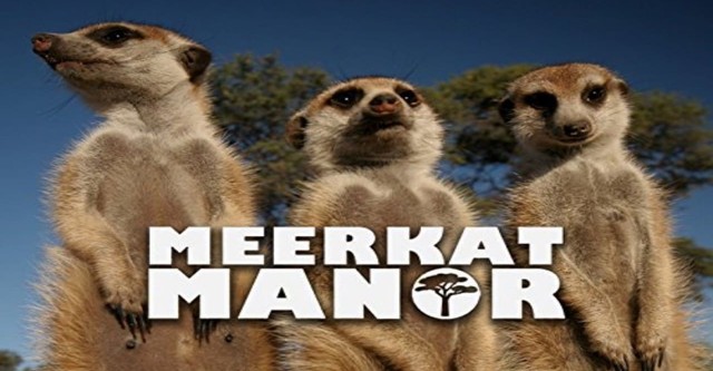 Meerkat Manor