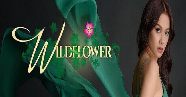 Wildflower