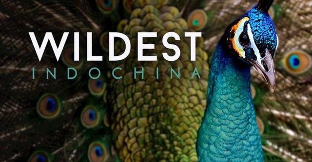 Wildest Indochina