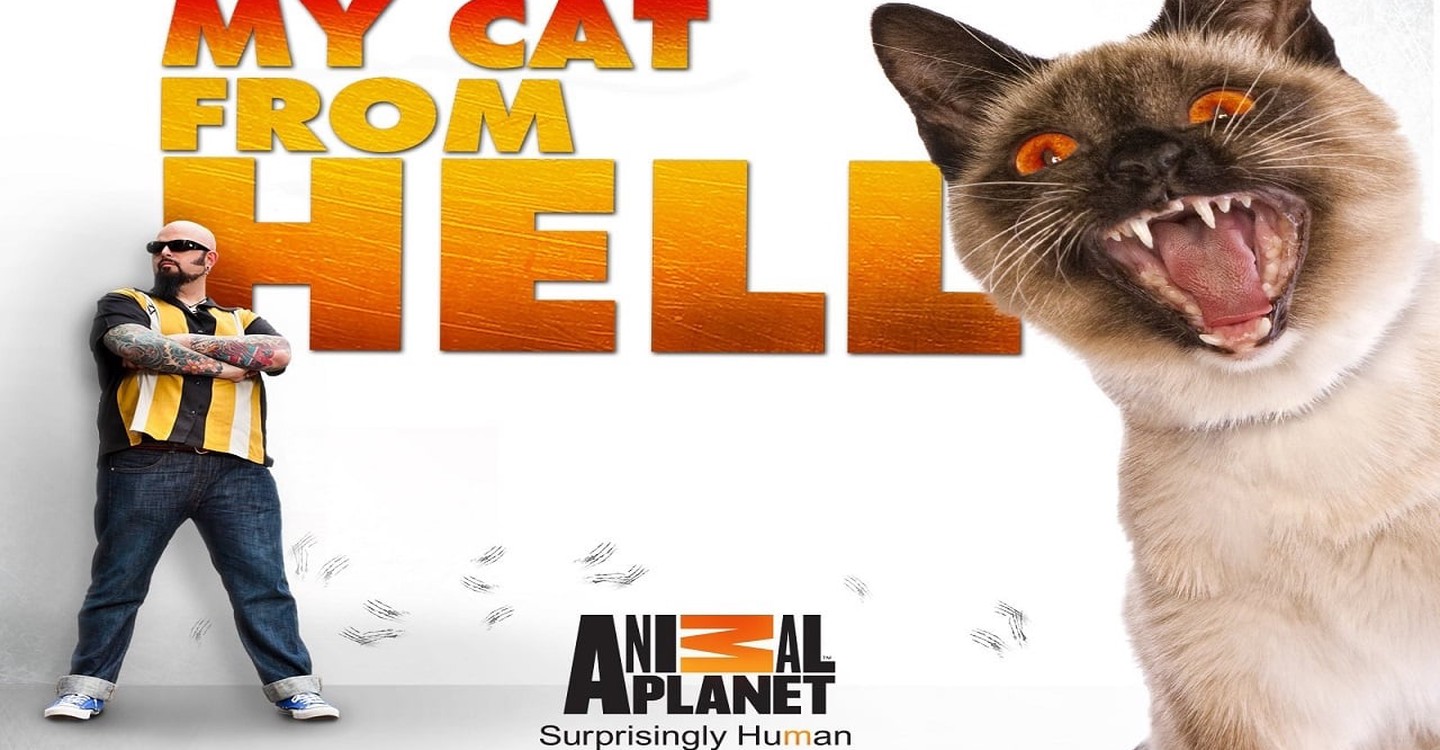 my cat from hell full episodes free online