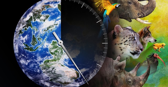 Racing Extinction - Das Ende der Artenvielfalt ?