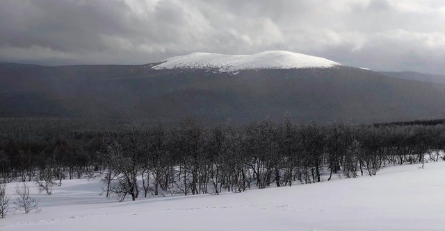 The Dyatlov Pass Incident